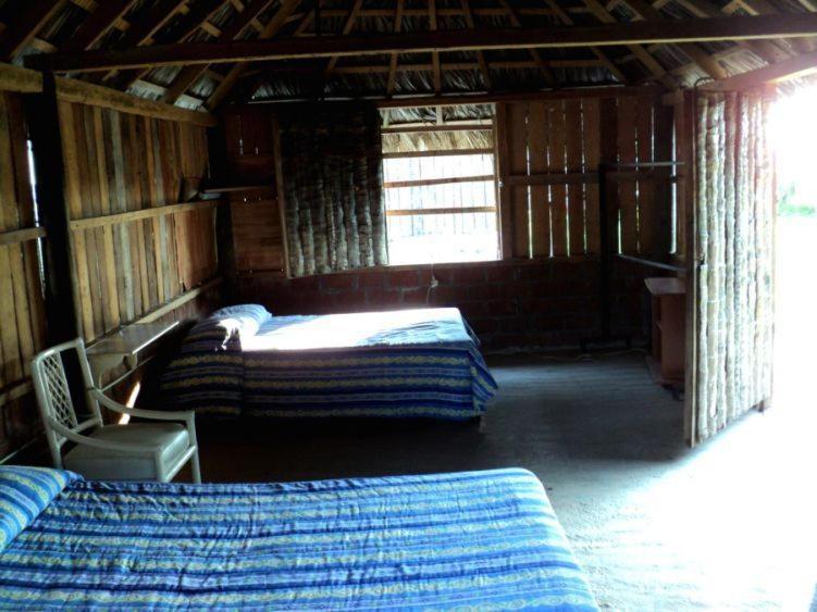 Cabanas Pie De La Cuesta Hotell Coyuca Rom bilde
